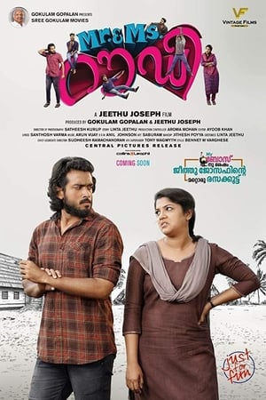 Rowdy 2019 Hindi Dubbed 480p HDRip 300MB - Movierulz