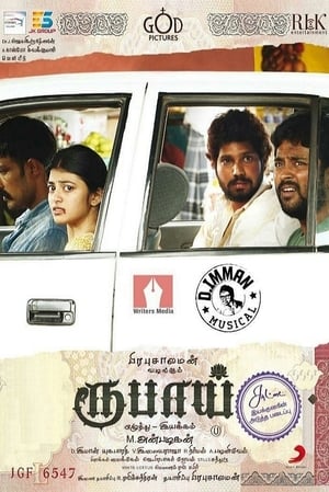 Rubaai (2017) Hindi Dual Audio 480p UnCut HDRip 400MB - Movierulz